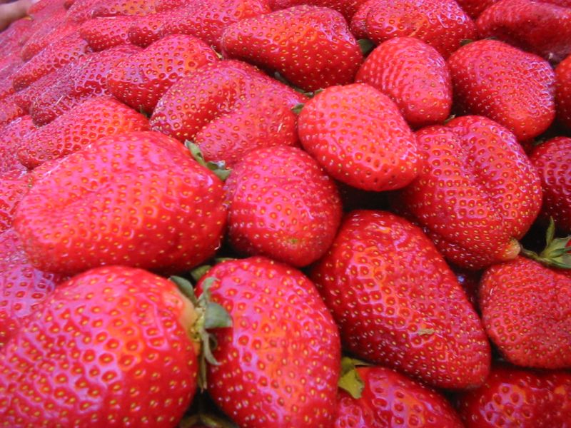 erdbeeren1